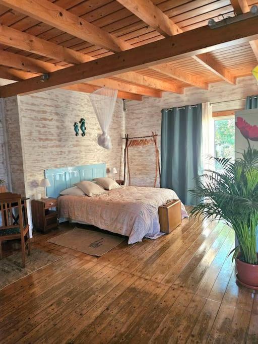 Casa Seahorses B Cottage إيريسييرا المظهر الخارجي الصورة