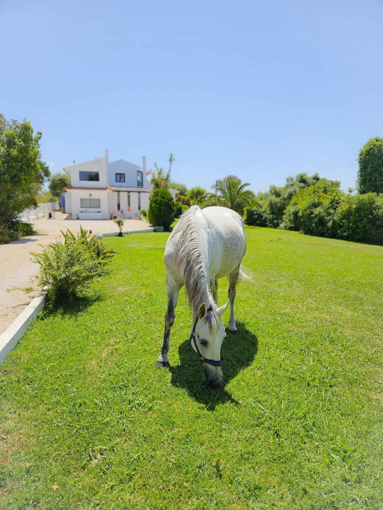 Casa Seahorses B Cottage إيريسييرا المظهر الخارجي الصورة