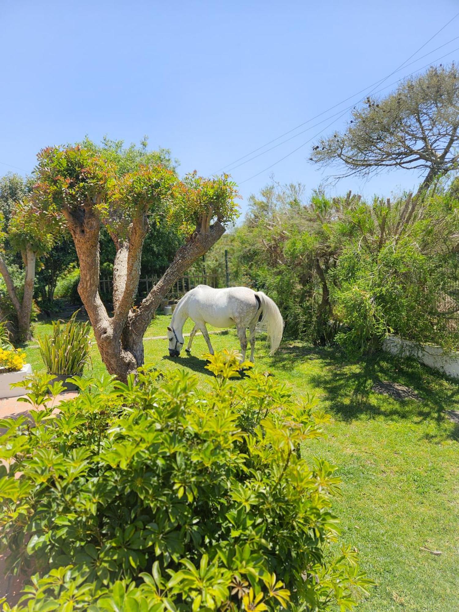 Casa Seahorses B Cottage إيريسييرا المظهر الخارجي الصورة